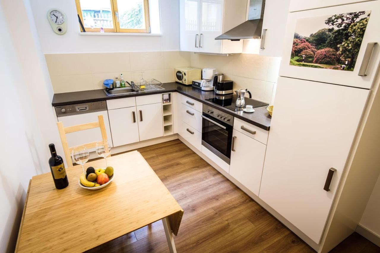 Wunderschoene Wohnung In Sanierter Villa! Incl Wifi 德累斯顿 外观 照片